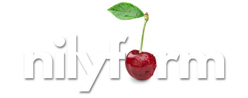 nilyform